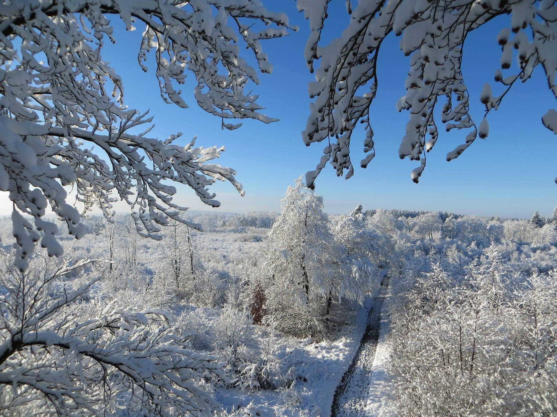 Vista estética de nieve Fondos de pantalla