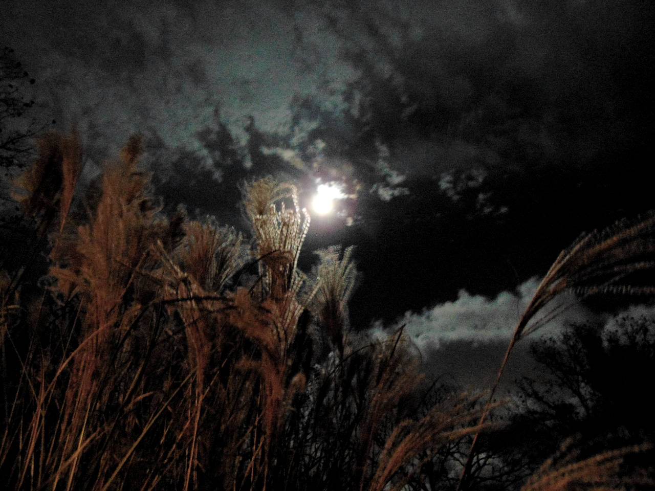 Vista Estética de Nubes y Luna Brillante Fondos de pantalla