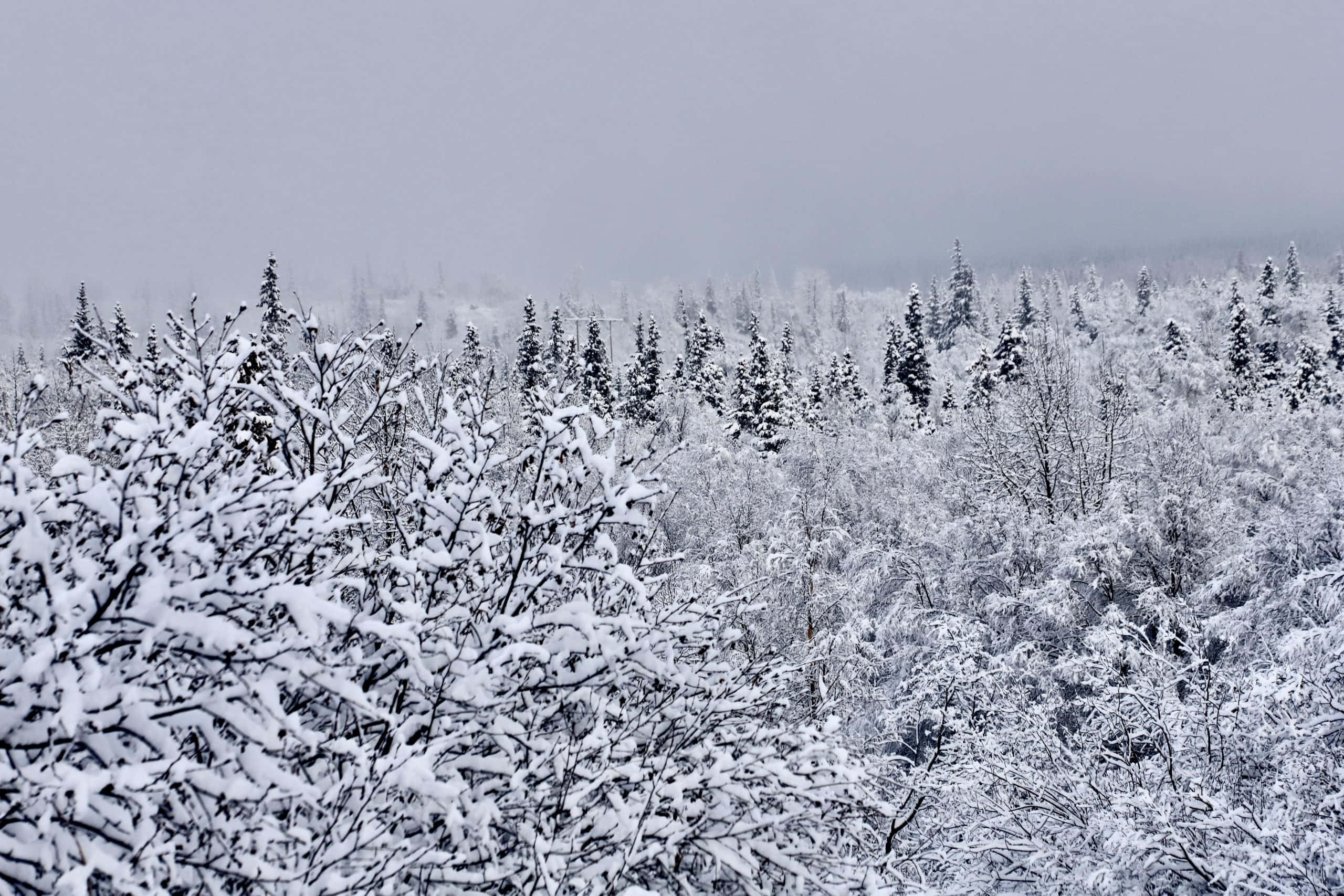 Vista panorámica de Anchorage, Alaska Fondos de pantalla