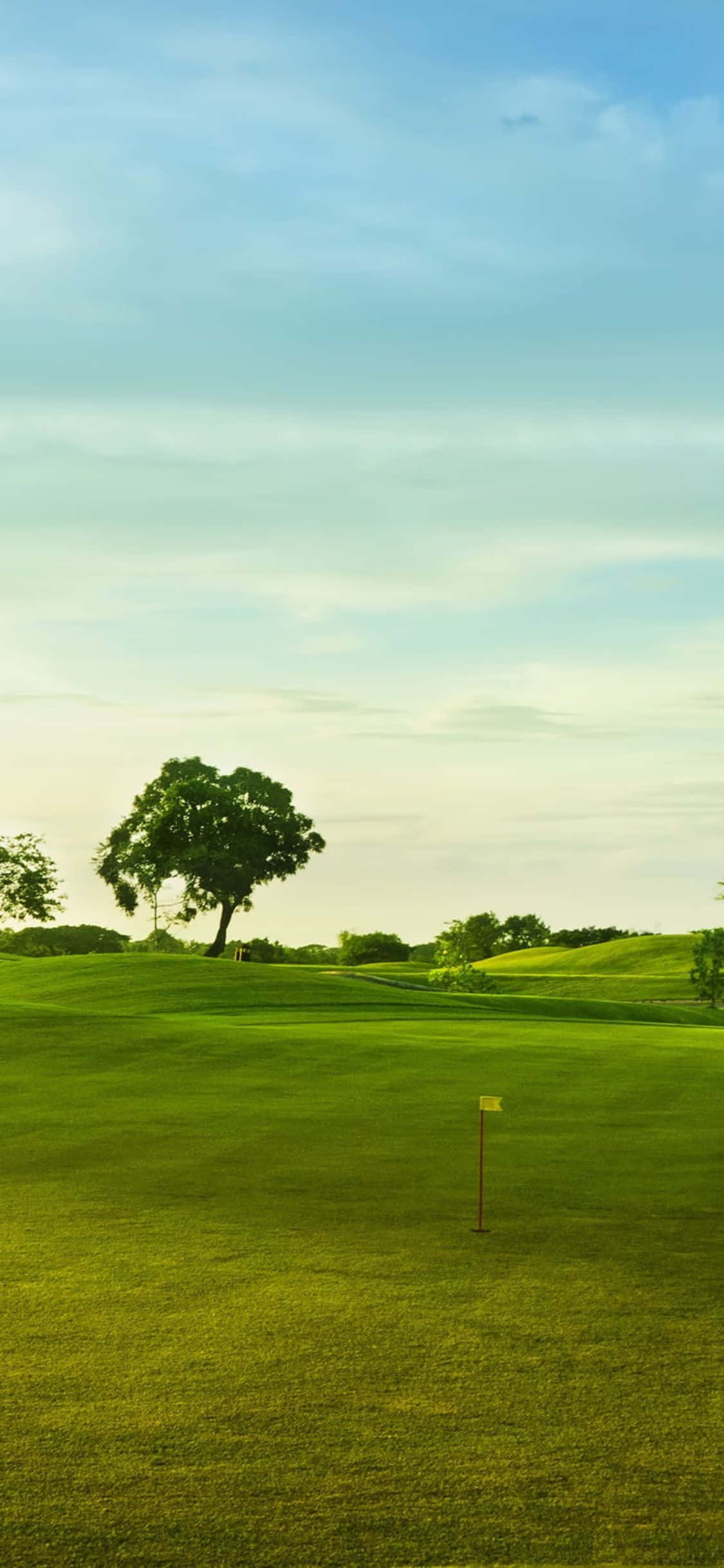 Vista Serena de un Campo de Golf con iPhone X Fondos de pantalla