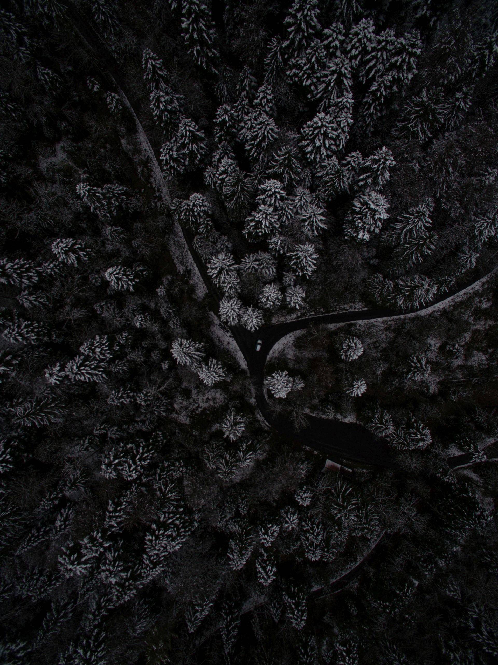 Vista Superior de Bosque Oscuro con Teléfono Fondos de pantalla