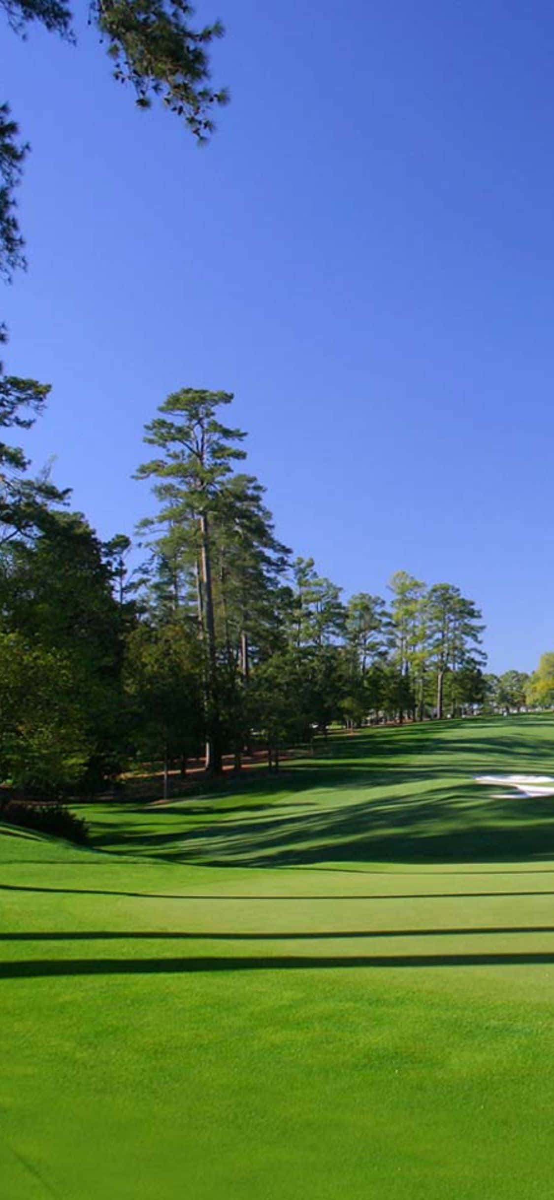 Vive el esplendor de un campo de golf con el iPhone X Fondos de pantalla