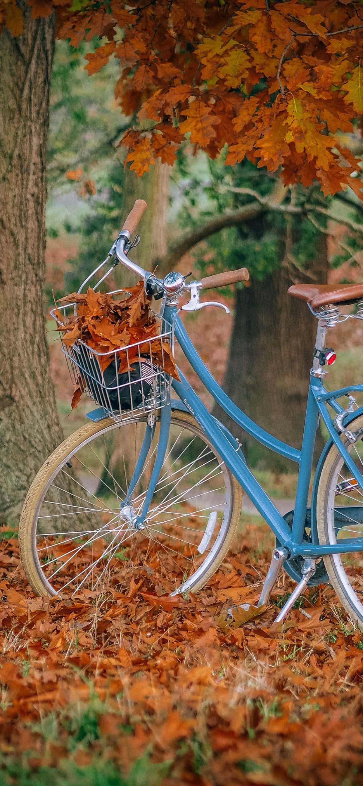 Vive el otoño en todo su esplendor con el iPhone Xs Max Fondos de pantalla