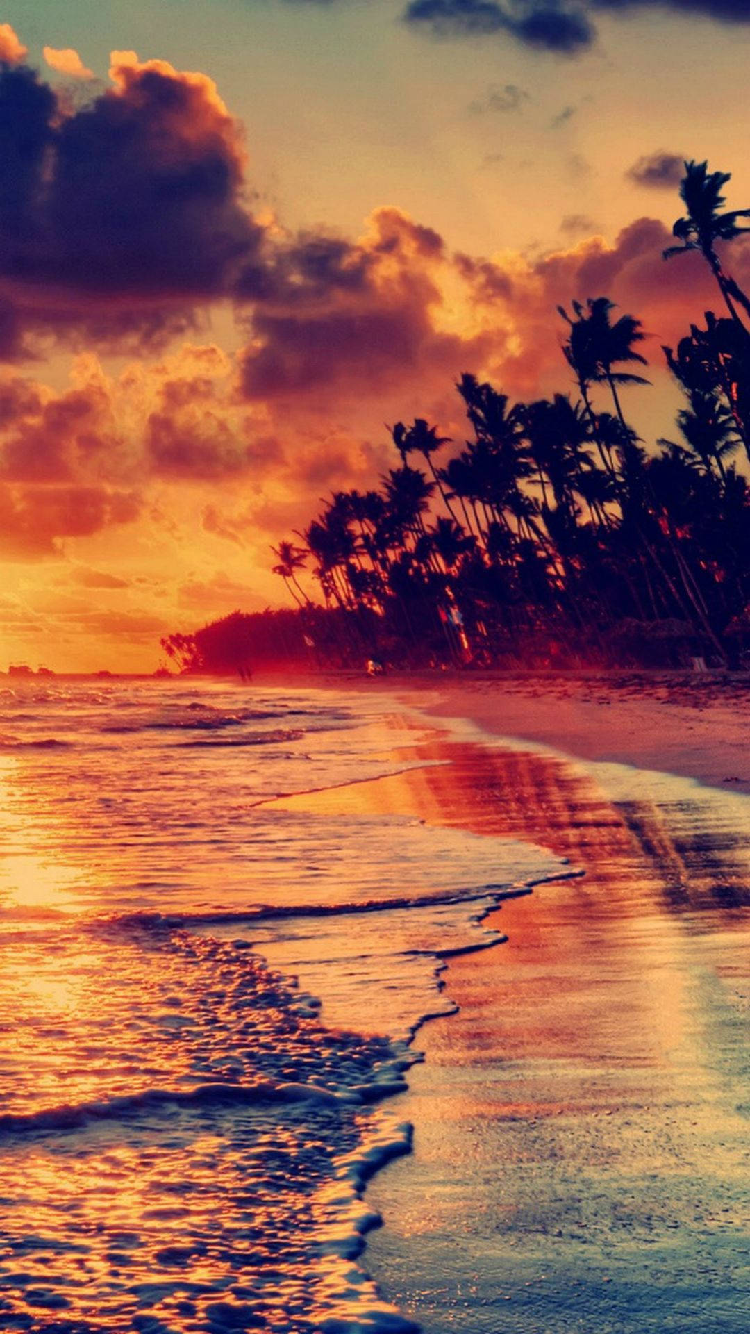 Un increíble fondo de pantalla para iPhone con vista de atardecer y encantadora orilla de playa — iPhone Fondos de pantalla