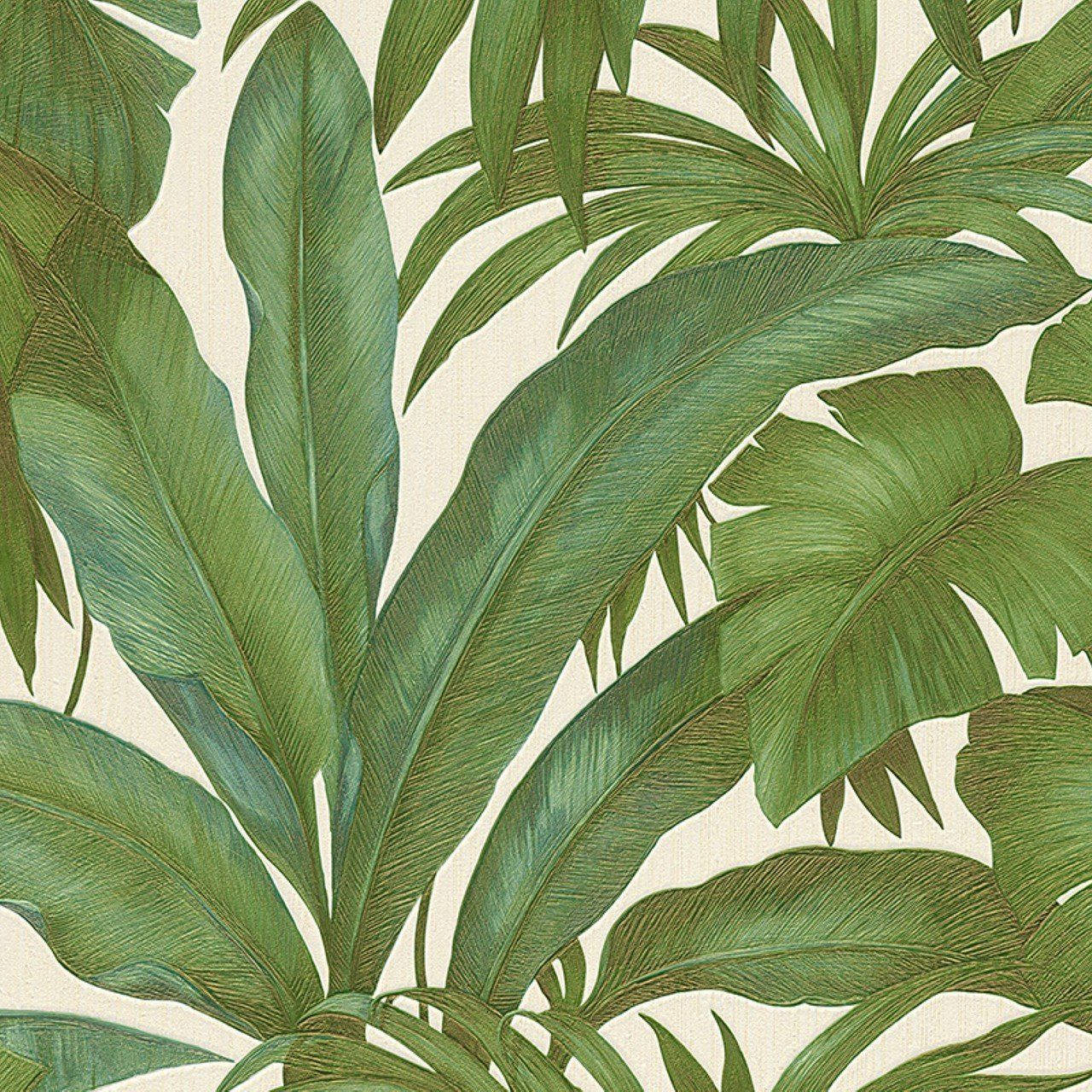 Vive una Vida de Lujo con Versace Hoja Verde Fondos de pantalla