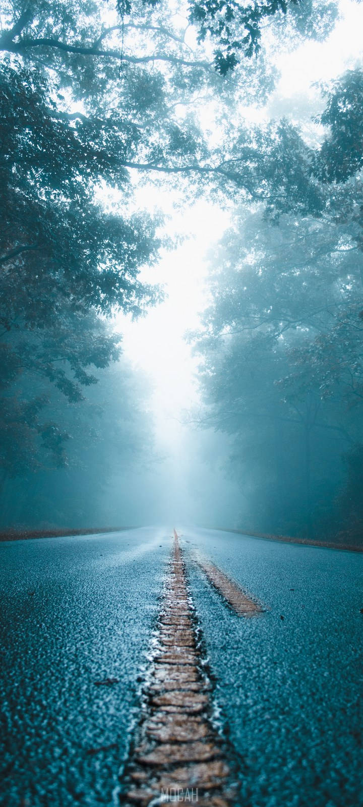 Vivo Y11 Camino Neblinoso Fondos de pantalla
