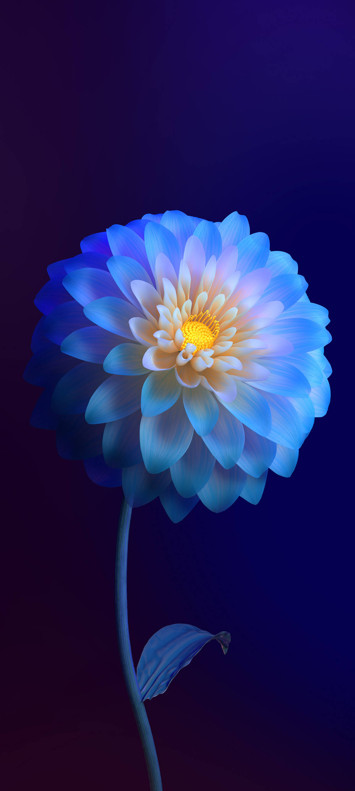 Vivo Y11 Flor Degradada Fondos de pantalla