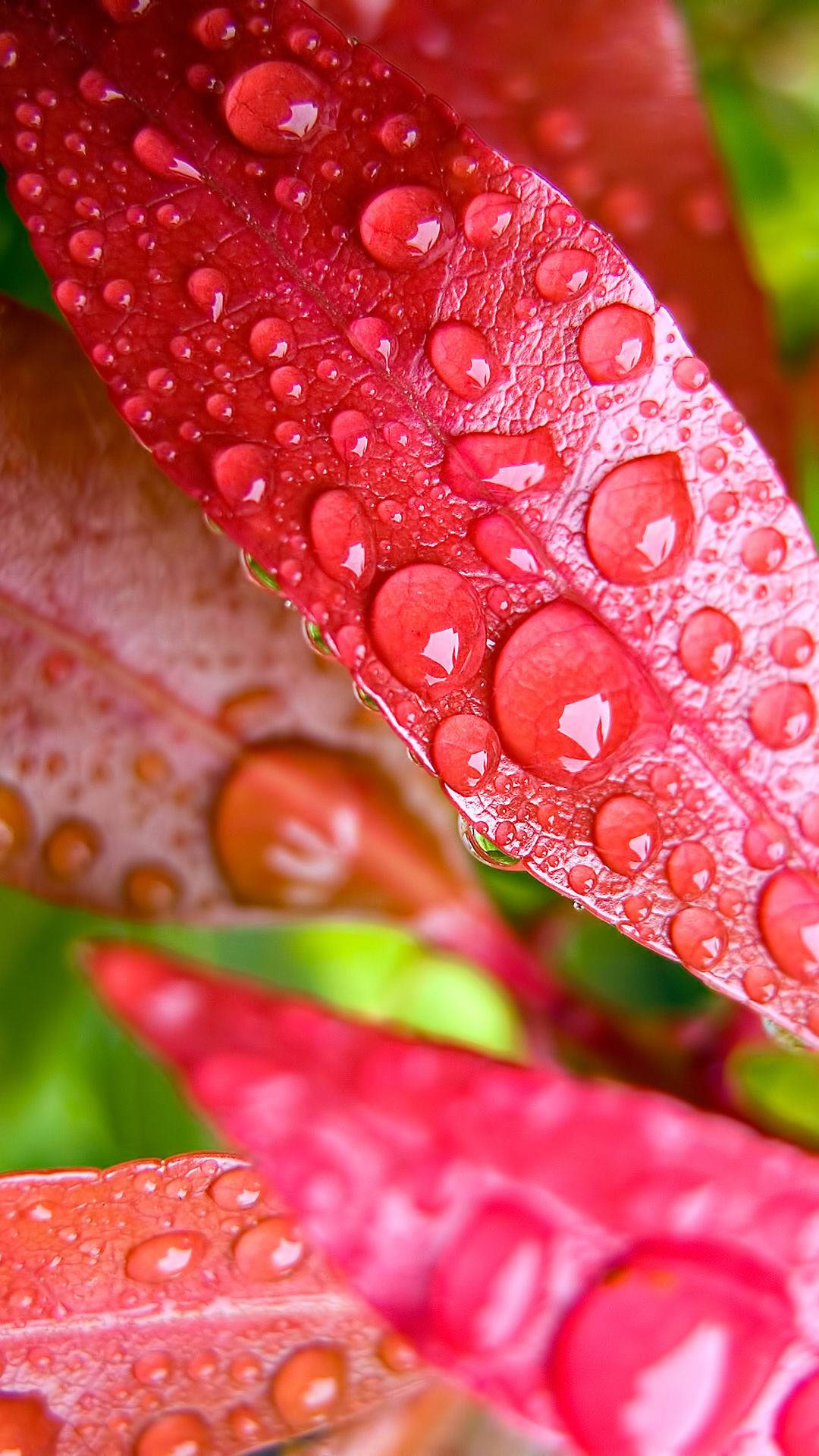 Vivo Y11 Gotas de Agua Fondos de pantalla