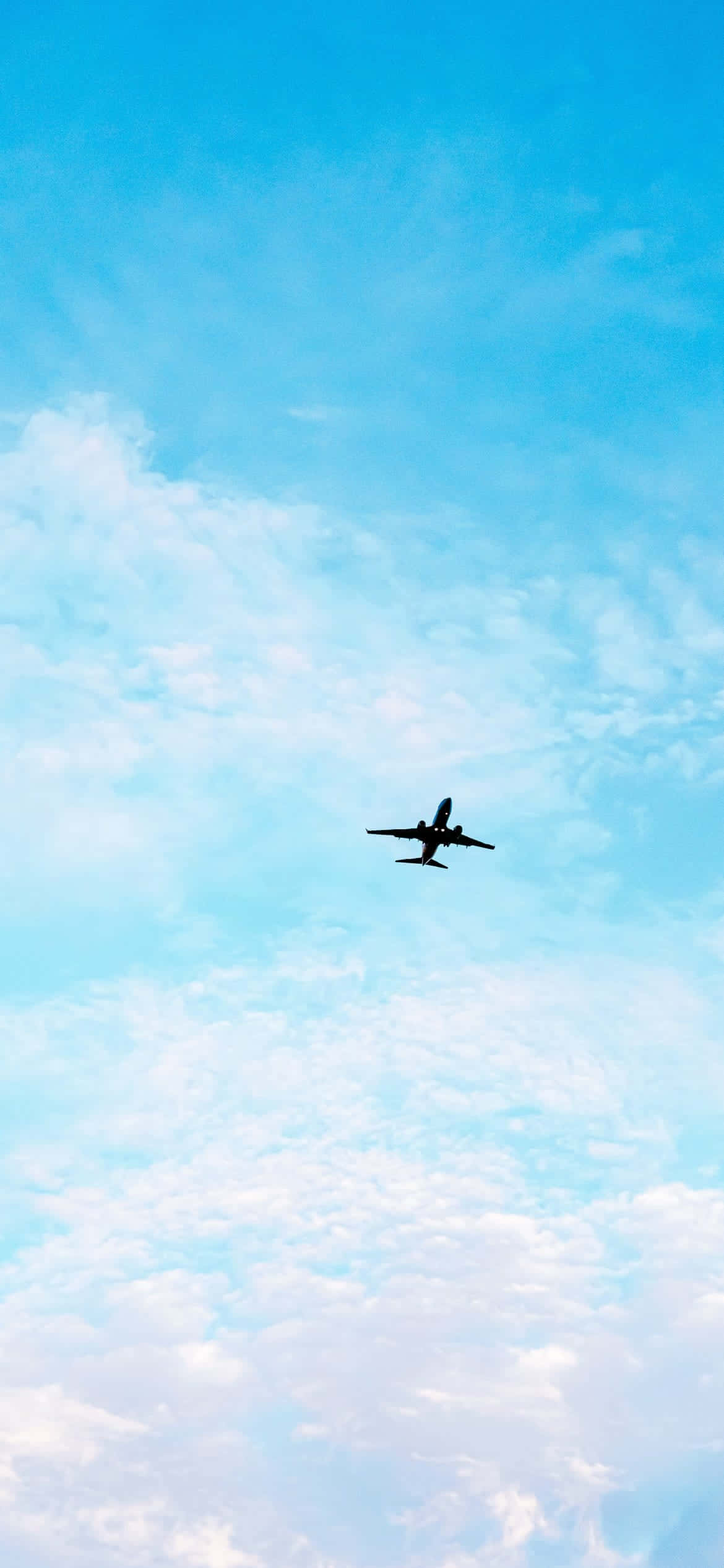 Vuela alto en el cielo azul pastel Fondos de pantalla