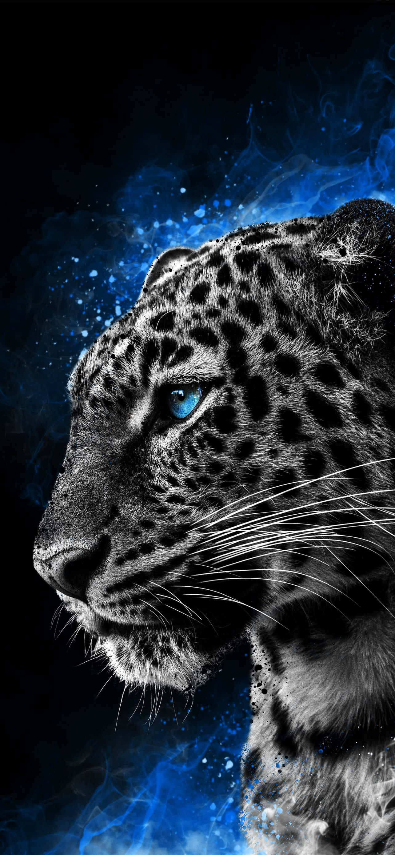 Vuélvete salvaje con este fondo de pantalla de Animals para iPhone. Fondos de pantalla