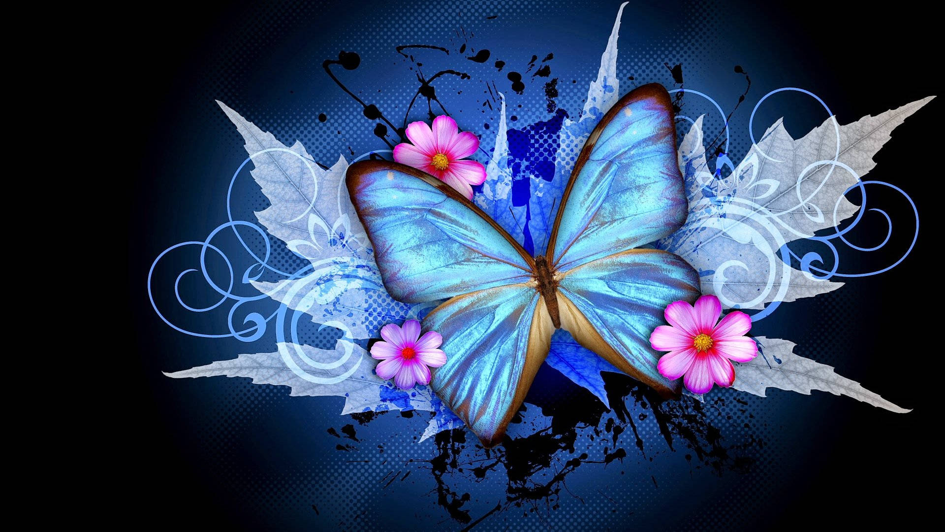 WhatsApp DP Mariposa de Otoño Fondos de pantalla