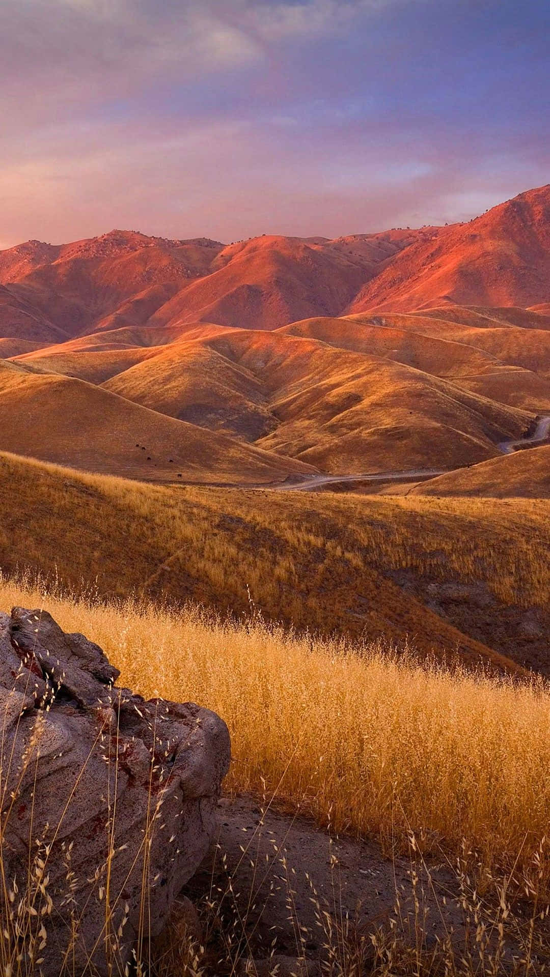 Xiaomi Smartphone con Fondo Inspirado en la Naturaleza Fondos de pantalla