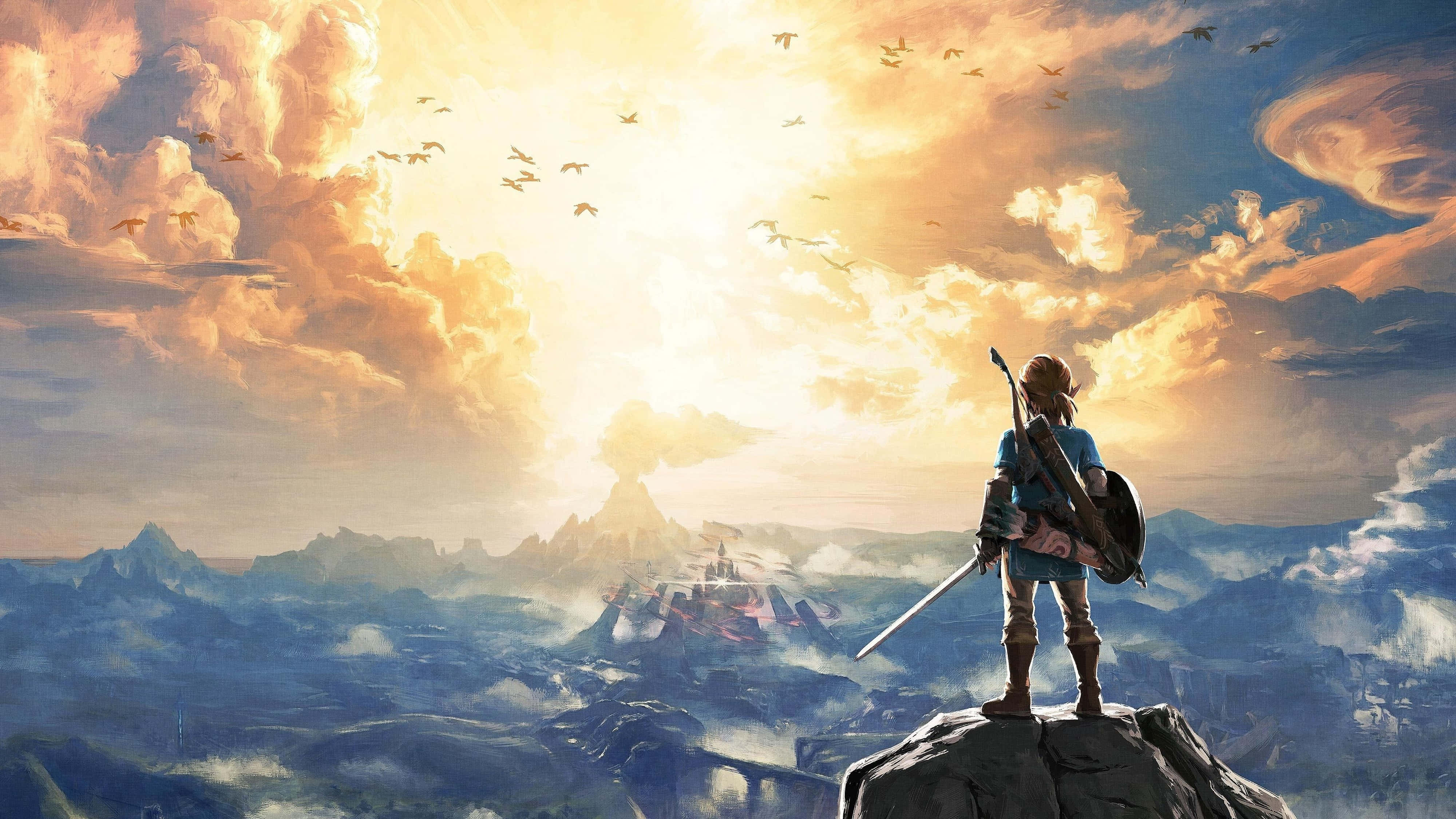 Zelda Breath Of The Wild 4K Link Mirando al Cielo Fondos de pantalla
