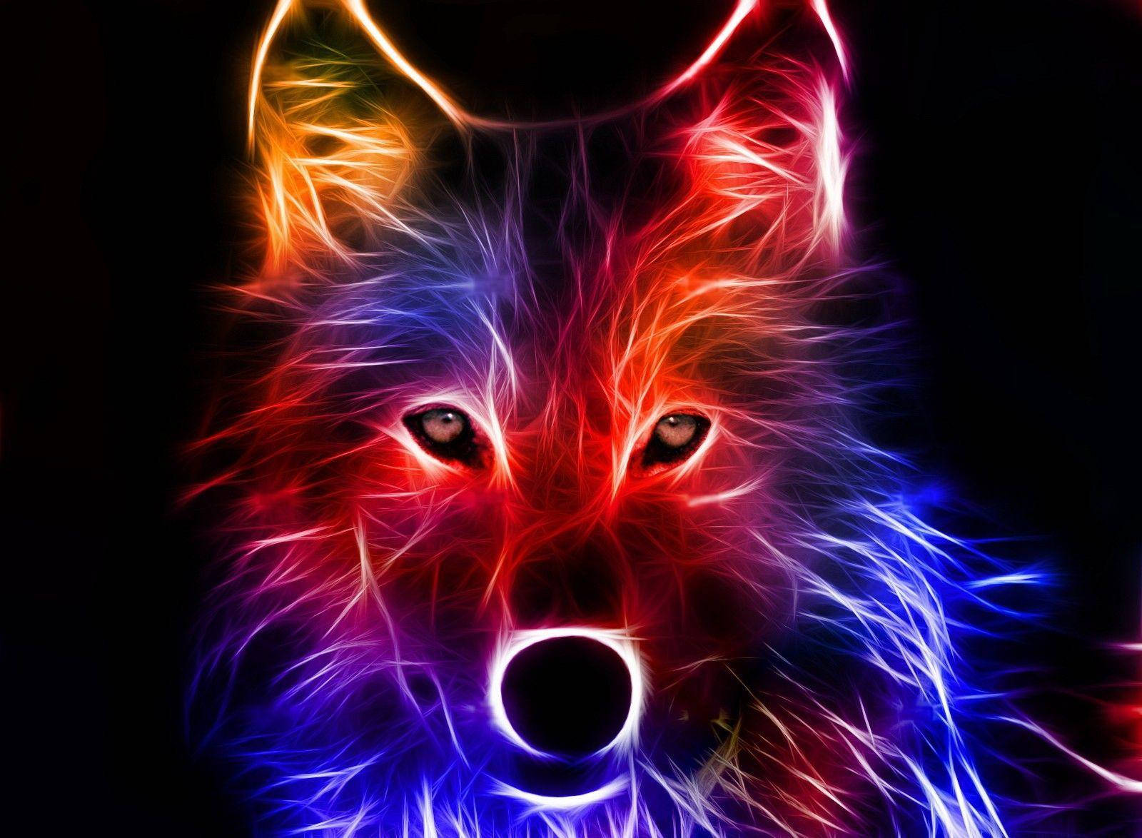Zorro Luminoso Genial Fondos de pantalla