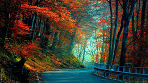 3840x2160 Monitor Carretera del Bosque — 3840x2160 Fondos de pantalla