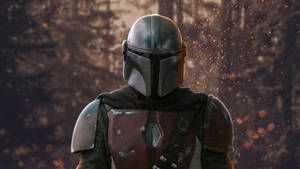 4K The Mandalorian Boba Fett en Bosque Oscuro — Bosque oscuro Fondos de pantalla