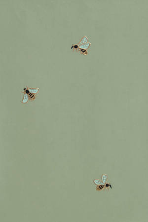 Fondo de pantalla de abejas estéticas verde salvia — Estética verde salvia GIF Fondos de pantalla