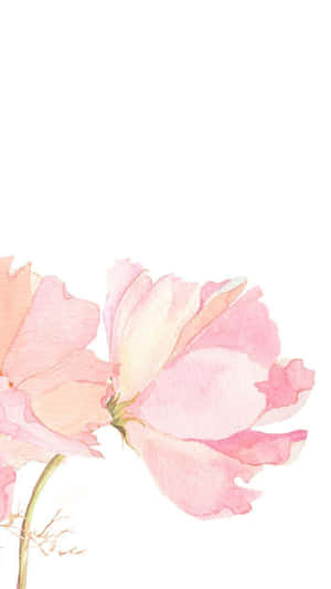 Floral en Rosa