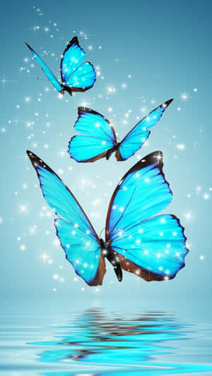 Abraza la Belleza - Fondo Estético de Mariposas — Mariposa aesthetic Fondos de pantalla