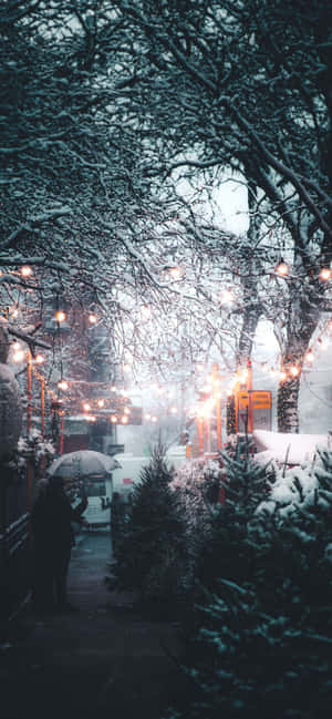 Imágenes de estética de nieve — Estética invernal Fondos de pantalla