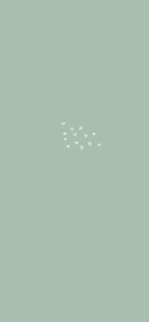 Imágenes de estética verde salvia — iPhone 16e Fondos de pantalla
