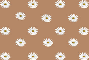 Fondo de pantalla floral estético beige y café