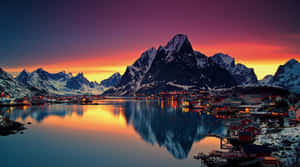 Hermoso fondo de naturaleza