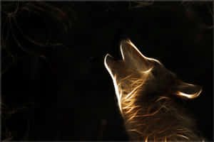 Fondo de Lobo Galáctico — Galaxia lobo Fondos de pantalla