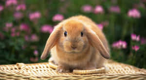 Adorable Conejito de Pascua y Huevos Coloridos sobre un Fondo Primaveral Vibrante