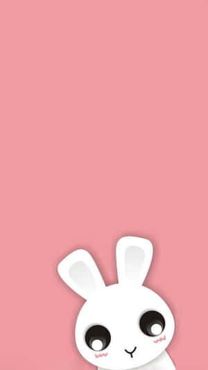 Adorables Animales de Dibujos Animados sobre Fondo Colorido — Lindo iPhone Fondos de pantalla