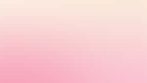 Fondo rosa lindo — Lindo rosa Fondos de pantalla