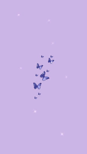 Lindo fondo morado — Lindo morado Fondos de pantalla
