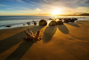 Fondo de pantalla de amanecer en la playa de Nueva Zelanda