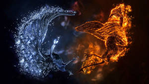 Fondo de pantalla de arte 3D de pájaros peleando. — 1600x900 Fondos de pantalla