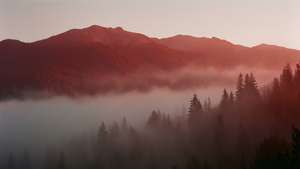 Montaña Roja envuelta en niebla matutina, capas brumosas y luz suave.