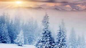 fondo de paraíso invernal — Estética de nieve Fondos de pantalla