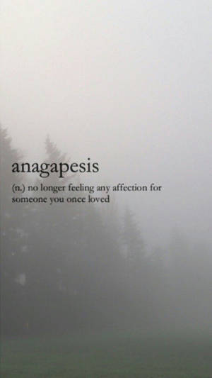 Fondo de pantalla estético de la palabra anagapesis