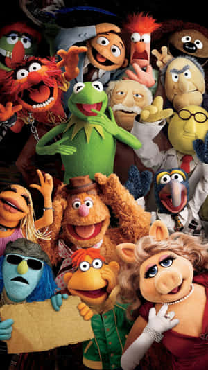 Animal Muppet — Fondo rojo aesthetic Fondos de pantalla