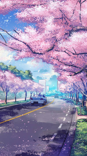 Fondo de pantalla anime de cerezos en flor para iPhone — Floral iPhone Fondos de pantalla