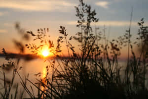 Imágenes de hermosos atardeceres