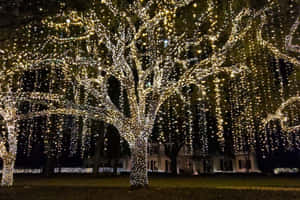Imágenes de luces navideñas — Estética navideña Fondos de pantalla