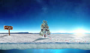 Imágenes del Polo Norte — Árbol de Navidad Fondos de pantalla