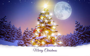 Fondo de pantalla de árbol de Navidad radiante para escritorio — Navidad escritorio Fondos de pantalla