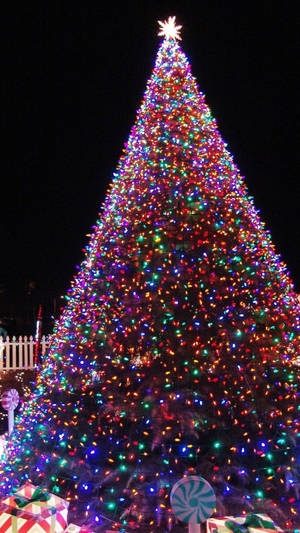 Árbol de Navidad Gigante y Estético — Estética navideña linda Fondos de pantalla
