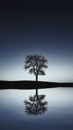 Árbol Negro 4K Android