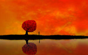 Árbol Rojo 4K Naturaleza — Naturaleza 4K Fondos de pantalla