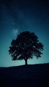 Silueta de un árbol en una colina bajo un cielo nocturno estrellado azul oscuro, misterioso y sereno. — iPhone 8 Plus Fondos de pantalla