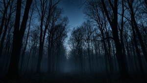 Silueta de un bosque oscuro al atardecer con niebla y estrellas. — Estética negra GIF Fondos de pantalla