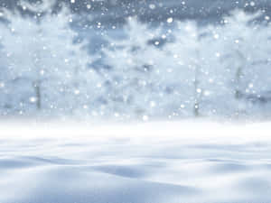 Fondo de nieve — Estética invernal Fondos de pantalla