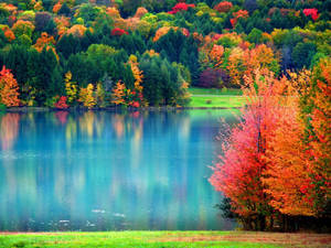 Fondo de pantalla otoñal de árboles coloridos verdes, rojos y naranjas alrededor del lago.